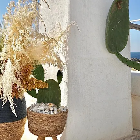 Guest house Paradise Sea Terrace *