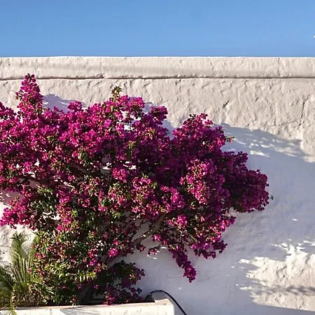 Paradise Sea Terrace Guest house Monopoli